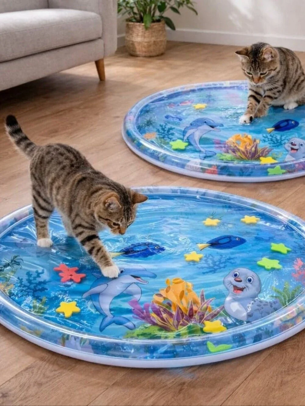 AquaPaw Claw-Resistant Water Mat Baby Dog & Cat Water Mat Toy! Interactive
